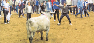 La calle es una mina