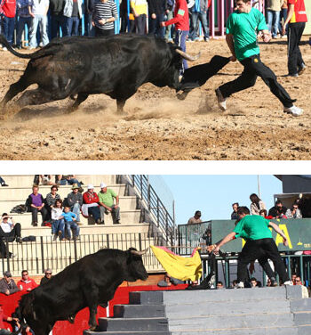La ganadería de La Paloma inicia el concurso de la Pascua Taurina