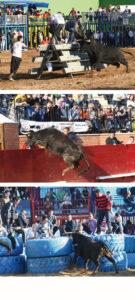 (Foto: J. Silvestre)