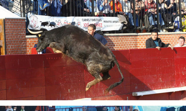 Fernando Machancoses levanta el concurso