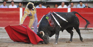 Castella cuajó a placer a un buen toro de Begoña. Foto: Tadeo Alcina