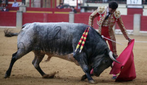 Serranito, con el toro premiado de Ana Romero