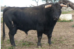 Nº22 de Mª José Barral, para el 1 de mayo.