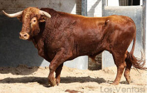 (Foto: Paloma Aguilar/www.las-ventas.com)