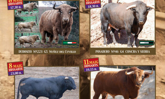 Toros de Cuvillo, Concha y Sierra y Peñajara para la Colonia Segarra