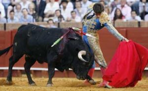 Manuel Fernández, esta tarde en la Maestranza.Foto: Arjona