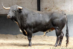 Juntaollas, toro con el que confirmará Macías.