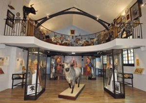 (Foto: Los Amigos de Pablo Romero)