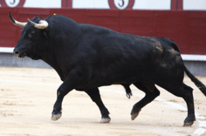 Seria y bien hecha pero descastada resultó la corrida de Parladé. (Foto: J.R.Lozano)