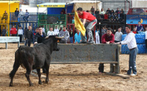 (Foto: Jacobo Silvestre)