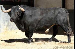 El quinto, "Linosito", de Los Bayones. Un "tío". (Foto: las-ventas.com)