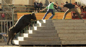 (Foto: Torodigital)