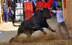 (Foto: Manel Baviera)