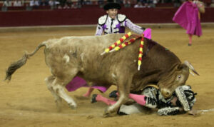 Cogida de Felix J. Rodríguez. (Foto: Maite Fernández.)