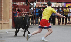 (Foto: Aragontaurino.es)