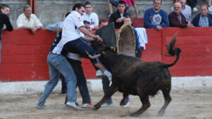 (Foto: Aragontaurino.es)