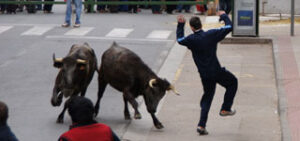 (Foto: Aragontaurino.es)