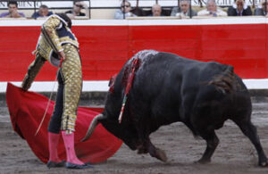 Castella, al natural. (Foto: Manu de Alba)