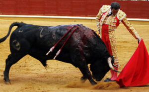 Ponce, al natural. (Foto: Arjona)