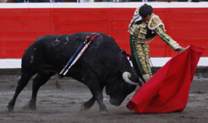 Fandiño toreó con pureza al natural. (Foto: Manu de Alba)