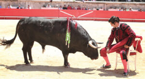 (Foto: Mauricio Berho)