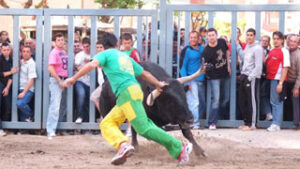 (Foto: Torodigital)