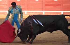 (Foto: José Antonio de la Torre)