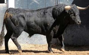 Manzanilla I será el cuarto de la tarde.