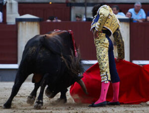 Sensacional muletazo de Curro Díaz. (Foto: J.R.Lozano)