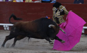 El Cid cortó una oreja del quinto. (Foto: Julio César Sánchez)