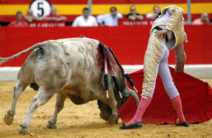 Perera, sometiendo al cuvillo de vuelta. (Foto: Arjona)