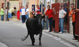 Intenso mes de junio en Aragón
