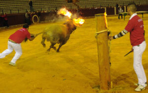 (Foto: Julio Bellido)