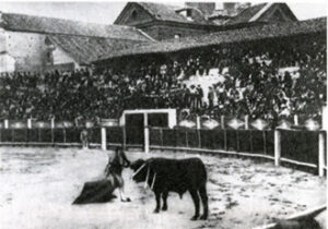 Joselito, en un desplante aquella fatí­dica tarde de Talavera.