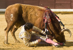 Perera, intentando zafarse de la cornada. (Foto: Javier Arroyo)