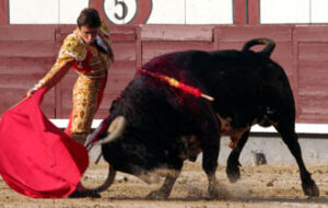 Robleño, pasando de muleta al segundo. (Foto: Ruaza)
