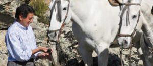 Se lesionó ayer al caerse de un caballo.