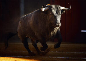 (Foto: Mauricio Berho)