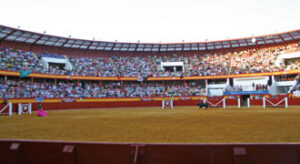 (Foto: Toroscomunicación)