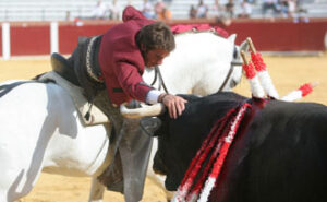 Hermoso, en un adorno.