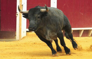 (Foto: Julio Bellido)