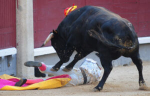 Momento de la cogida de Larios (Foto: Vivas)