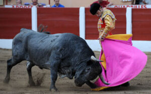 Robleño aprovechó las virtudes de su lote y salió a hombros. (Foto: André Viard)