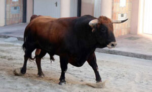 (Foto: Fernando Juárez)