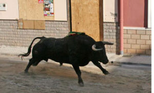 (Foto: Fernando Juárez)