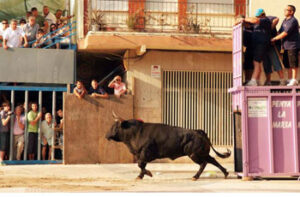 (Foto: Torodigital.)