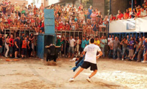 Salida del toro de Domínguez Camacho (Foto: Torodigital)