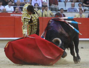 Manzanares desorejó al que hizo sexto. (Foto: José Ramón Lozano)