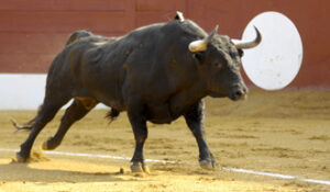Falló la de Victoriano del Río. (Foto: Javier Arroyo.)