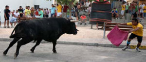 Toro de Caridad Cobaleda. (Foto: Fernando Juárez)